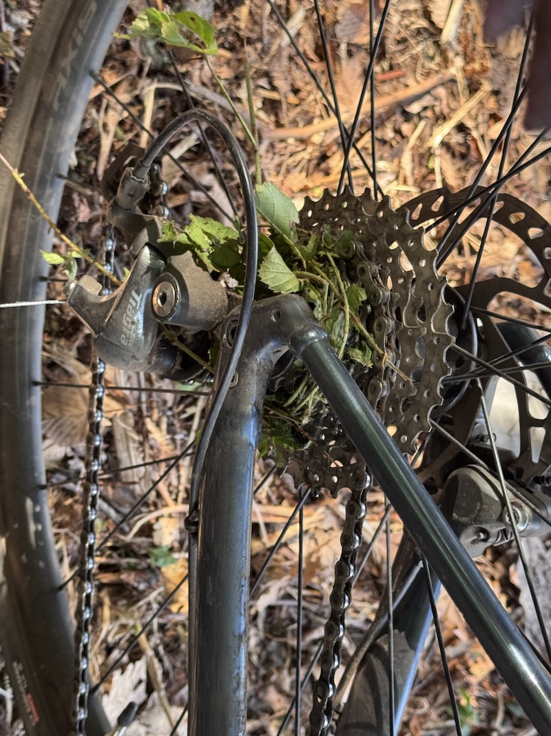 Hidden Valley CX mechanical